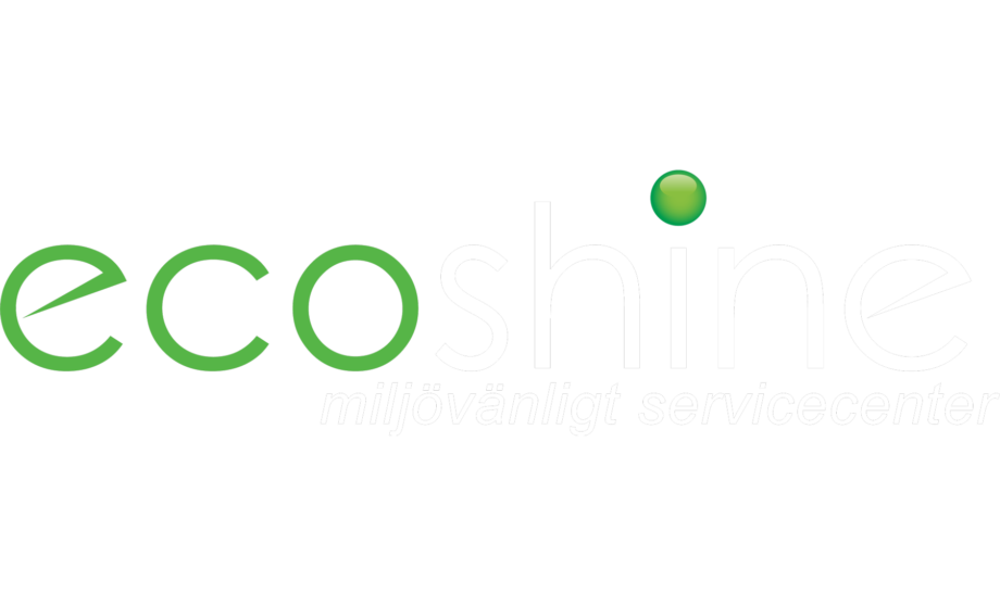 ecoshine logo